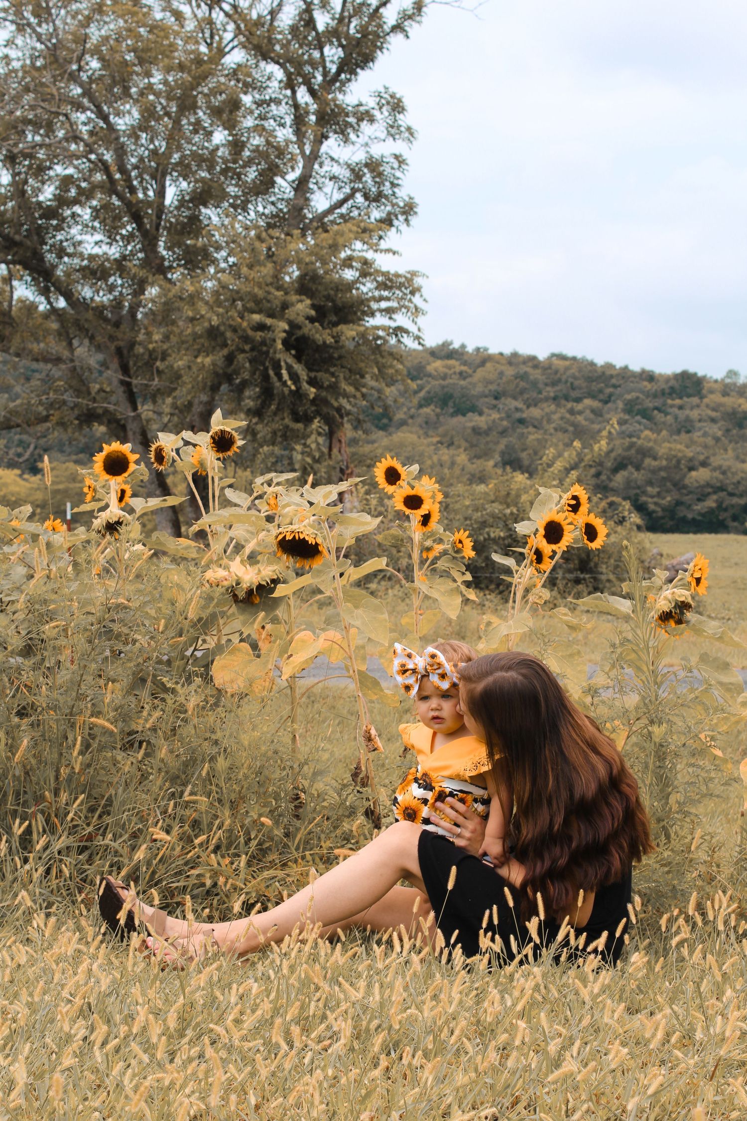 A scenic outdoor scene with vibrant sunflowers growing wild in a golden field on a summer day.