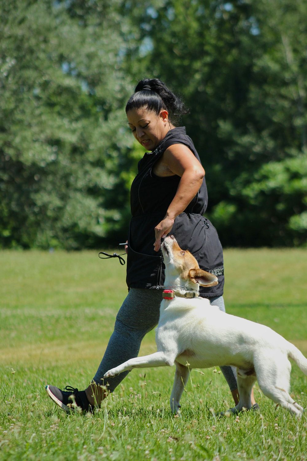 Dog and owner portrait
