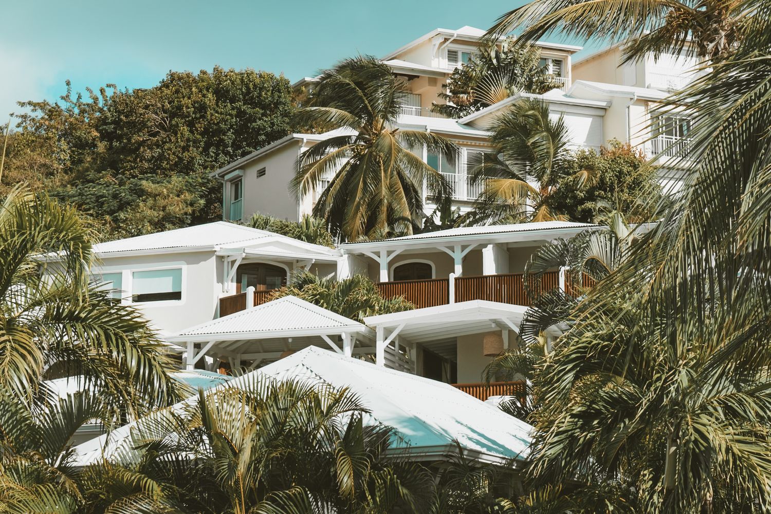 Luxury white resort buildings nestled among palm trees with a swimming pool in a tropical setting.