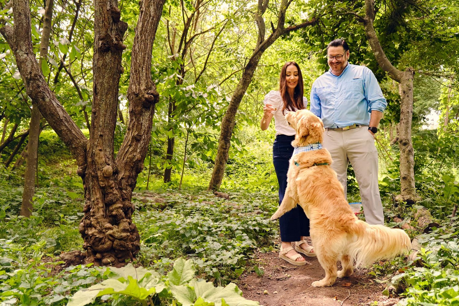 A couple walks their golden retriever on a scenic wooded path during a sunny afternoon.