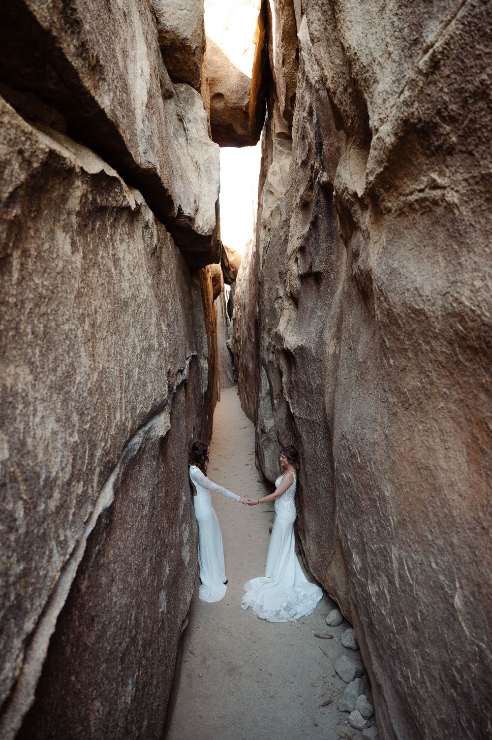 elopement session in Joshua tree