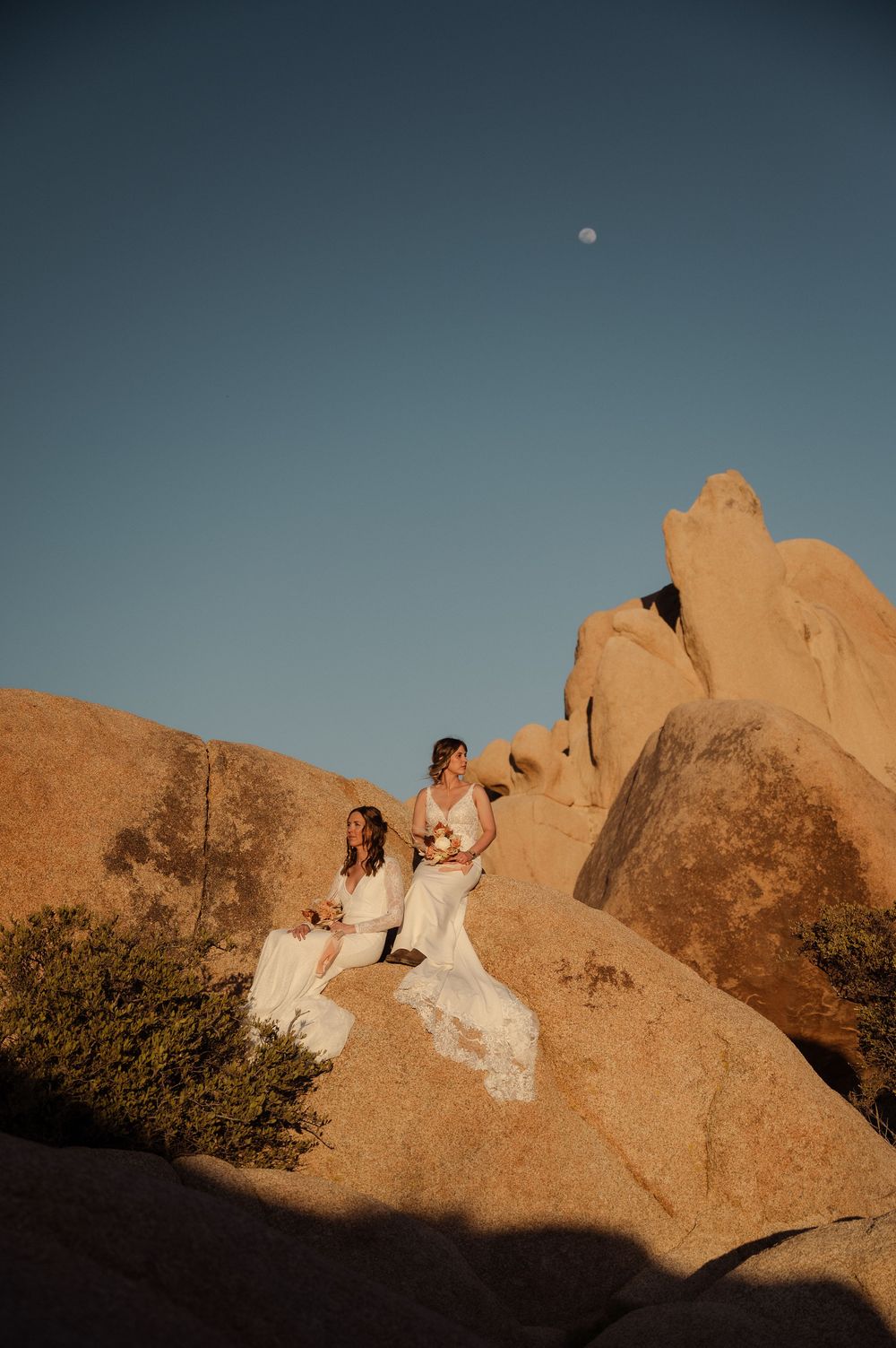 Joshua tree elopement