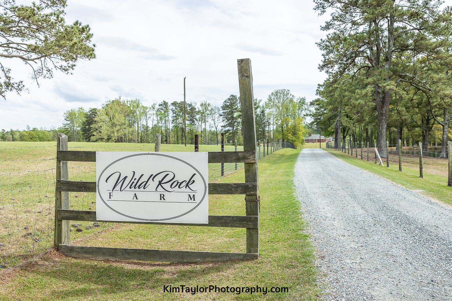wedding venue, Wild rock farm, venue tour, country venue, pretty wedding venues, Kim Taylor photography, wedding photographer, farm wedding