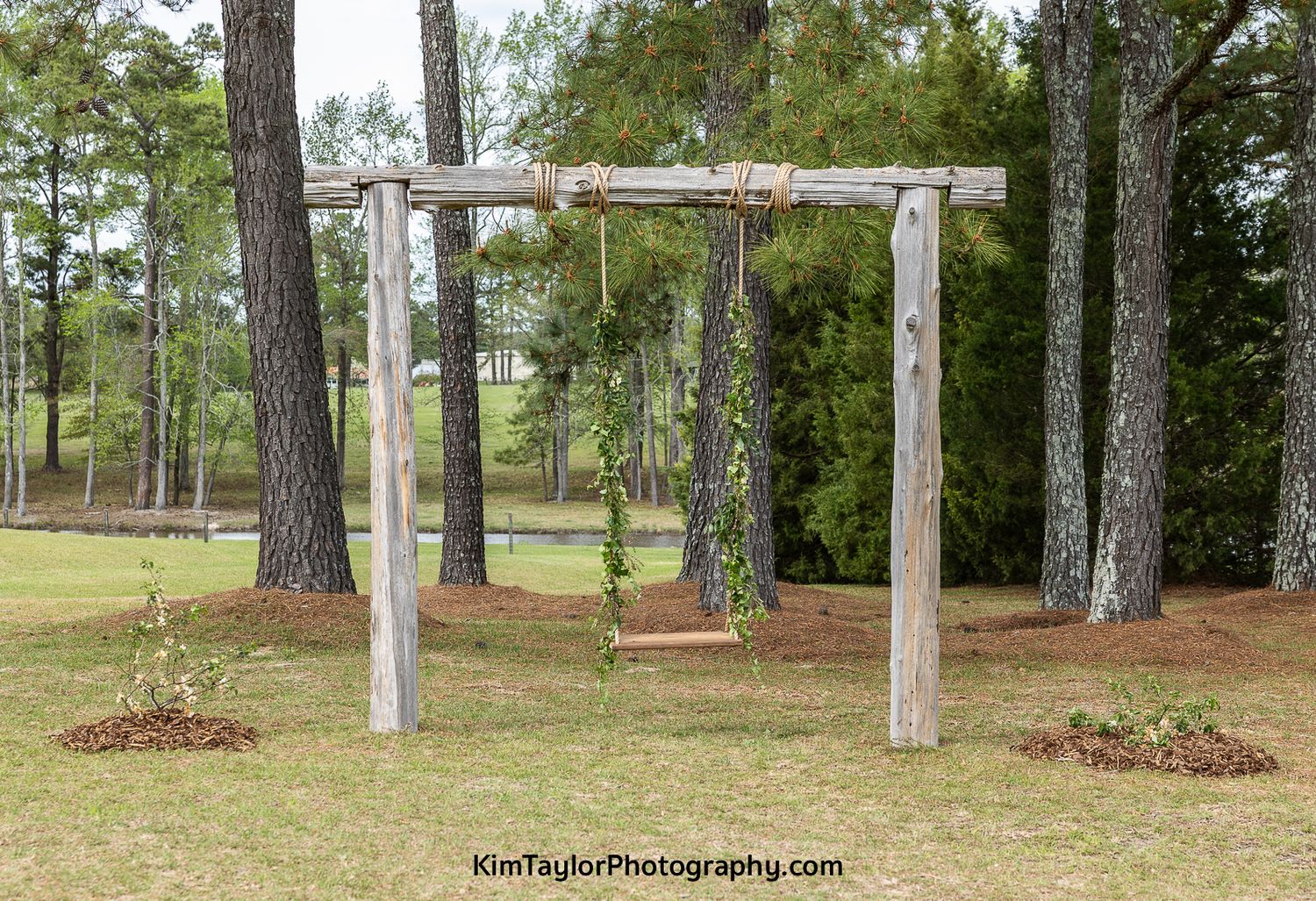 wedding venue, wild rock farm, country venue, pretty wedding venues, Kim Taylor photography, wedding photographer, wedding swing, trees, wed