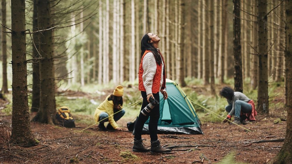 A group sets up camp in a dense forest with a green tent among tall pine trees.