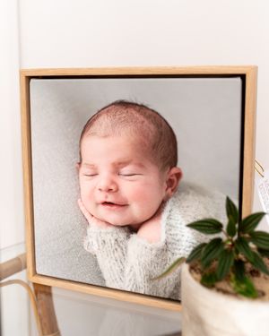 Framed portrait in wooden frame with decorative plant on display.