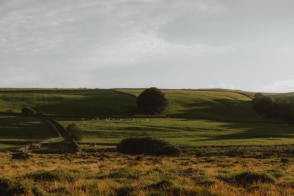 A panoramic view of green moorland with rolling hills stretching to the horizon.