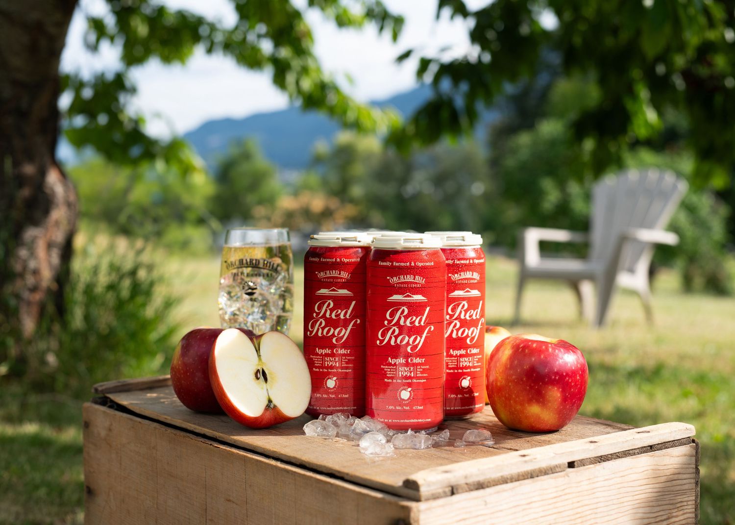 Red Roof hard apple cider cans on ice with fresh apples on a wooden crate in a lush green outdoor setting.