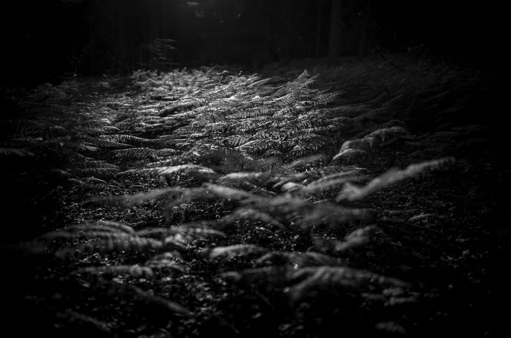 Dark monochrome photograph of stones and pebbles under flowing water creating a textured pattern.