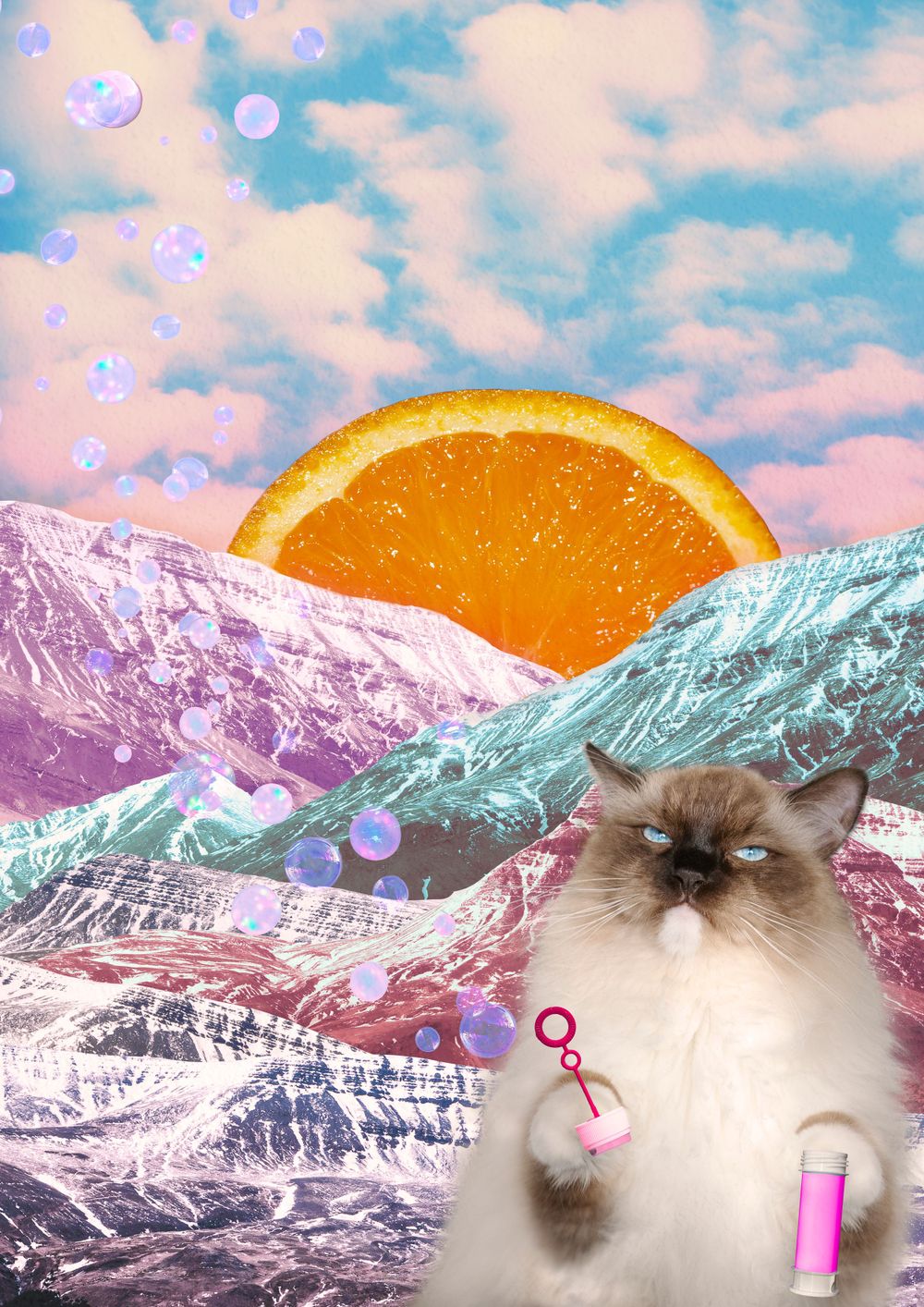 Collage, grafík, photoshop, Ljósmyndir, Birta Margrét