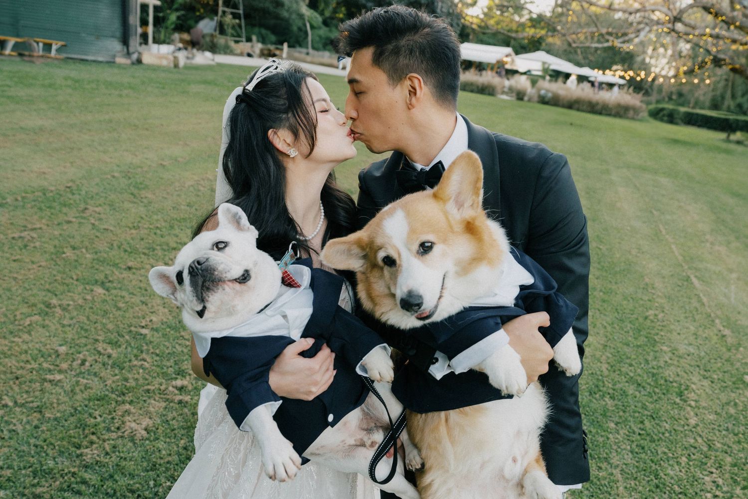 "Dog photobombing couple’s portrait at Brisbane wedding"