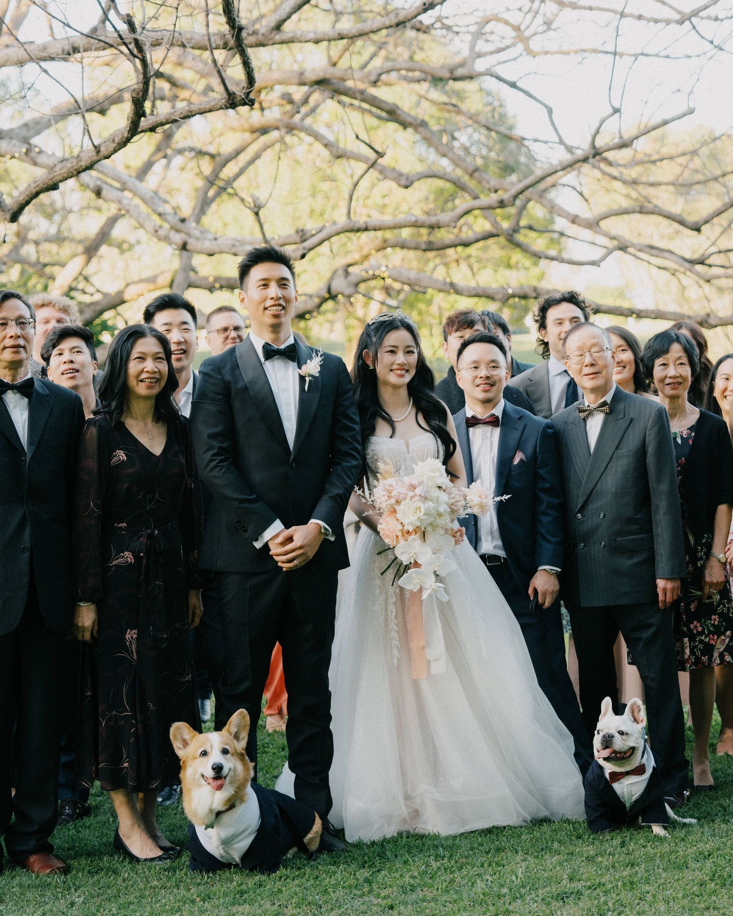 "Gold Coast wedding photographer capturing playful moment with dog"