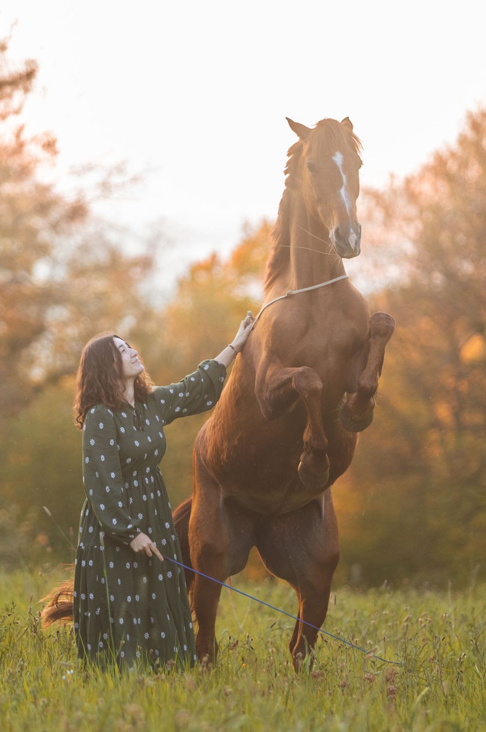 Photographie d'un cheval qui cabre dans un champ au couché du soleil