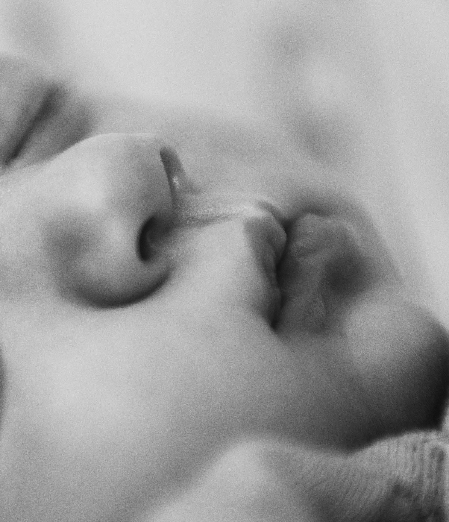 Citrus County, FL Newborn Photographer