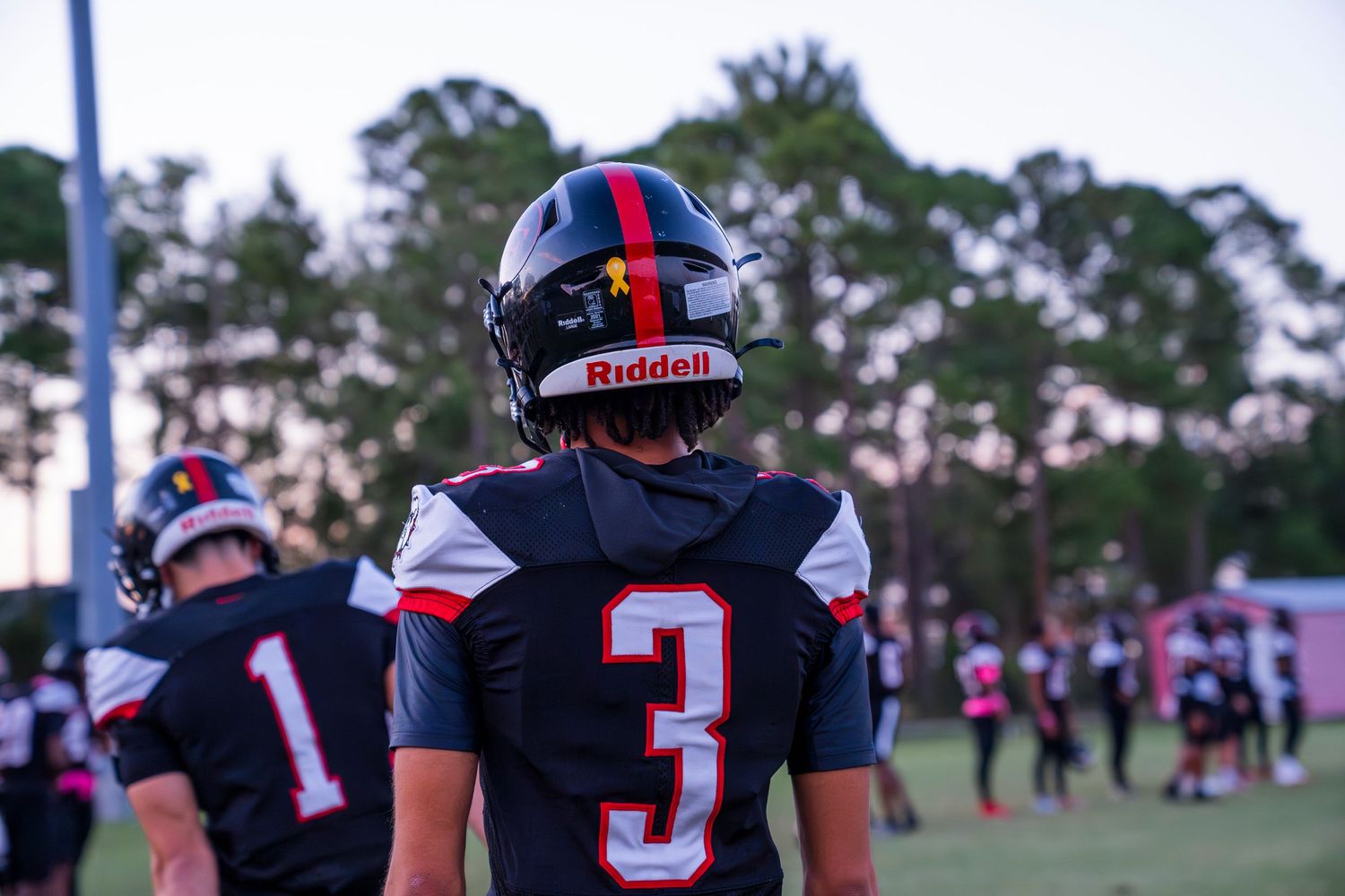 Football player wearing number 3 jersey on field with trees in background at dusk.