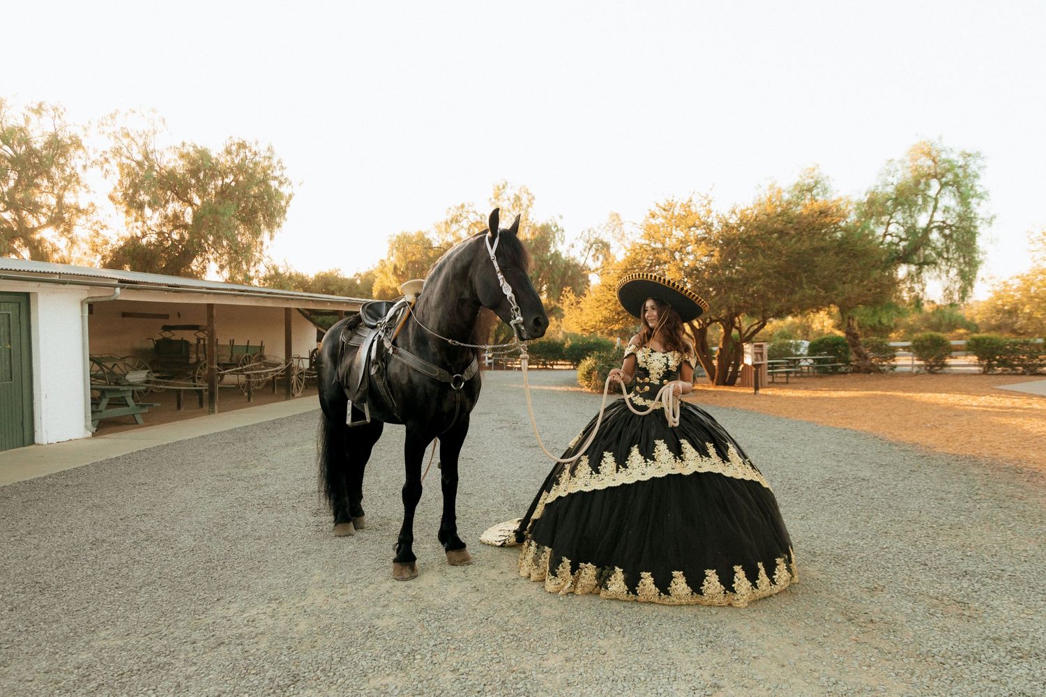 A person in an elegant black and gold gown poses with a black horse in harness on a dusty driveway at sunset.