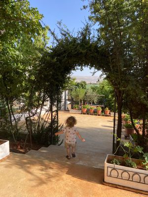 A garden pathway with a rustic arched trellis leads to a sunny terrace with terracotta planters and green landscaping.
