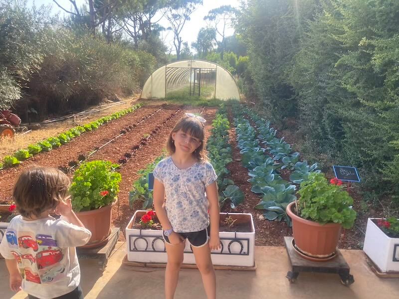 A flourishing garden with neat rows of vegetables and leafy greens growing beside a greenhouse structure.