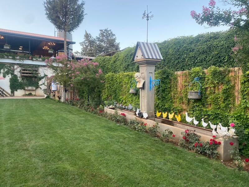 Well-maintained backyard garden with lush green lawn, flowering plants, and decorative birdhouses along a hedged border.