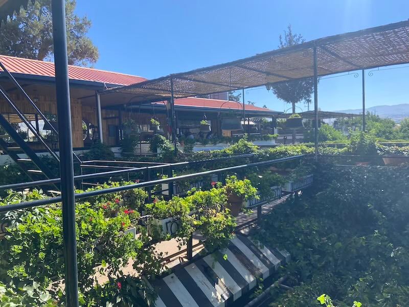 Garden nursery with rows of potted plants displayed under covered outdoor shelving on a sunny day.