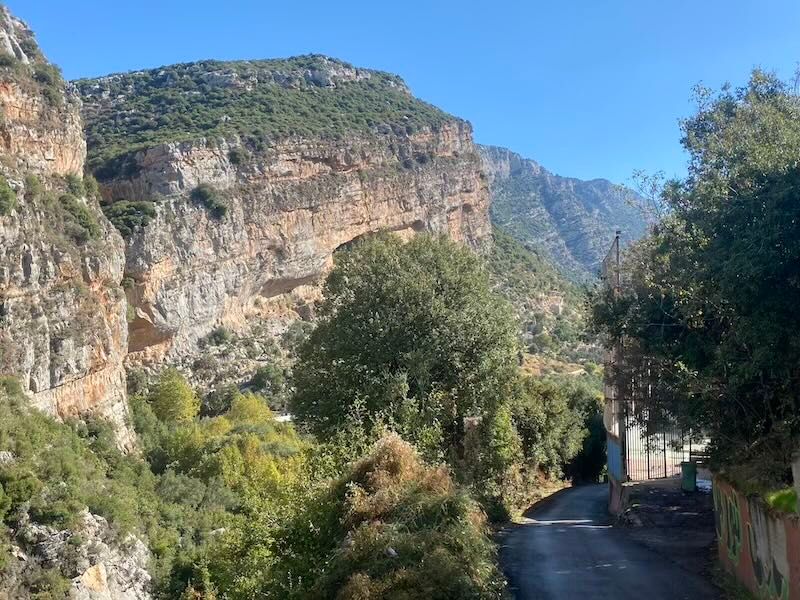 Scenic mountain road winds through dramatic limestone cliffs and lush greenery in a Mediterranean landscape.