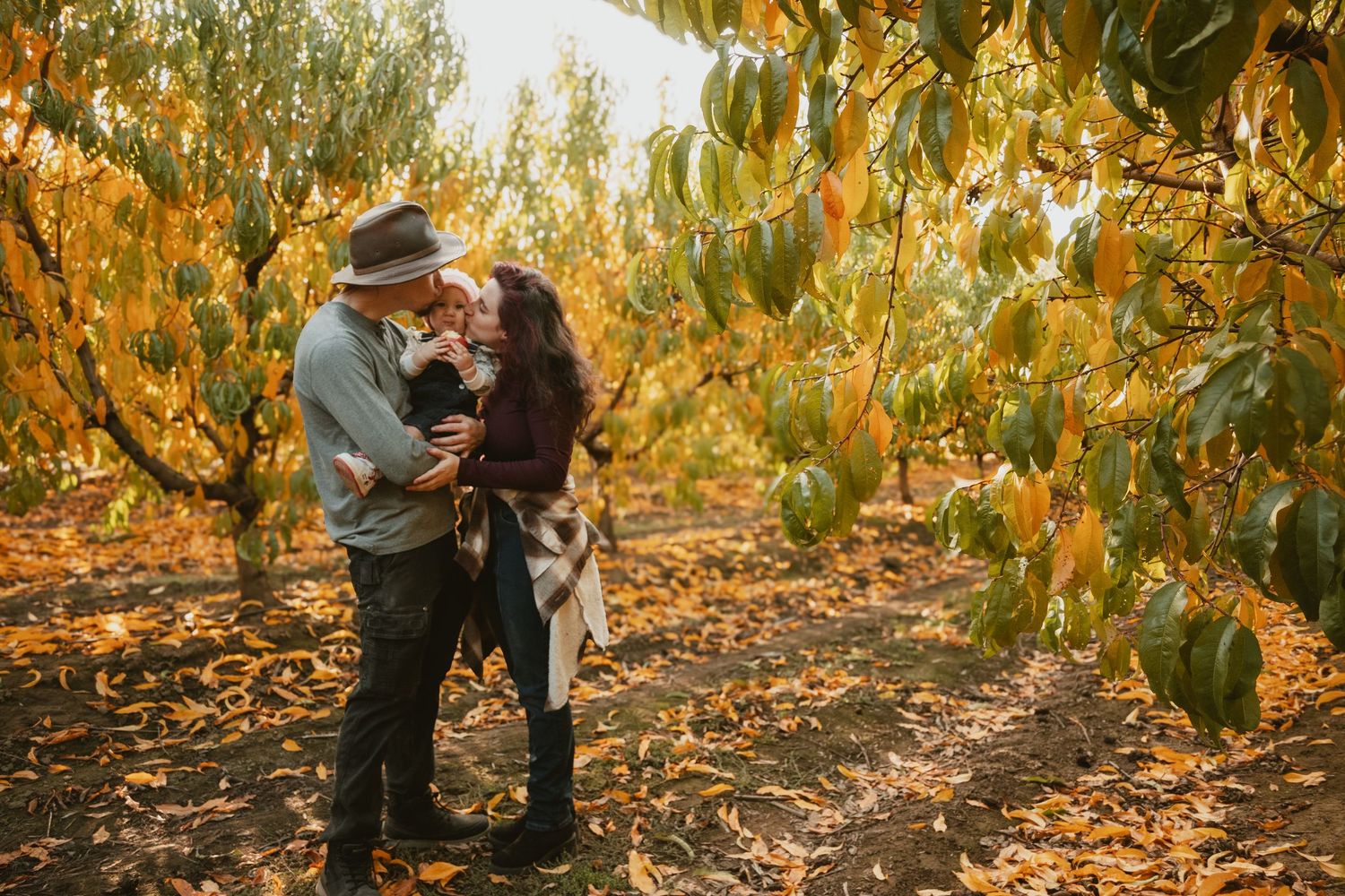 Autumn orchard engagement session among golden leaves.