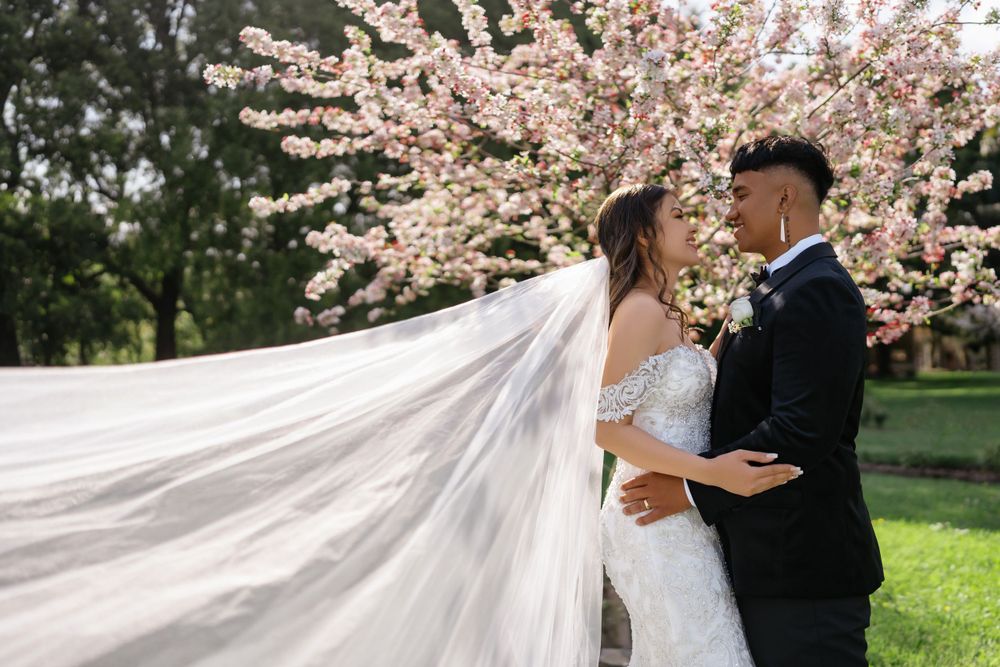 A bride and groom share an intimate moment under beautiful blooming cherry blossom trees with a flowing veil trailing behind.