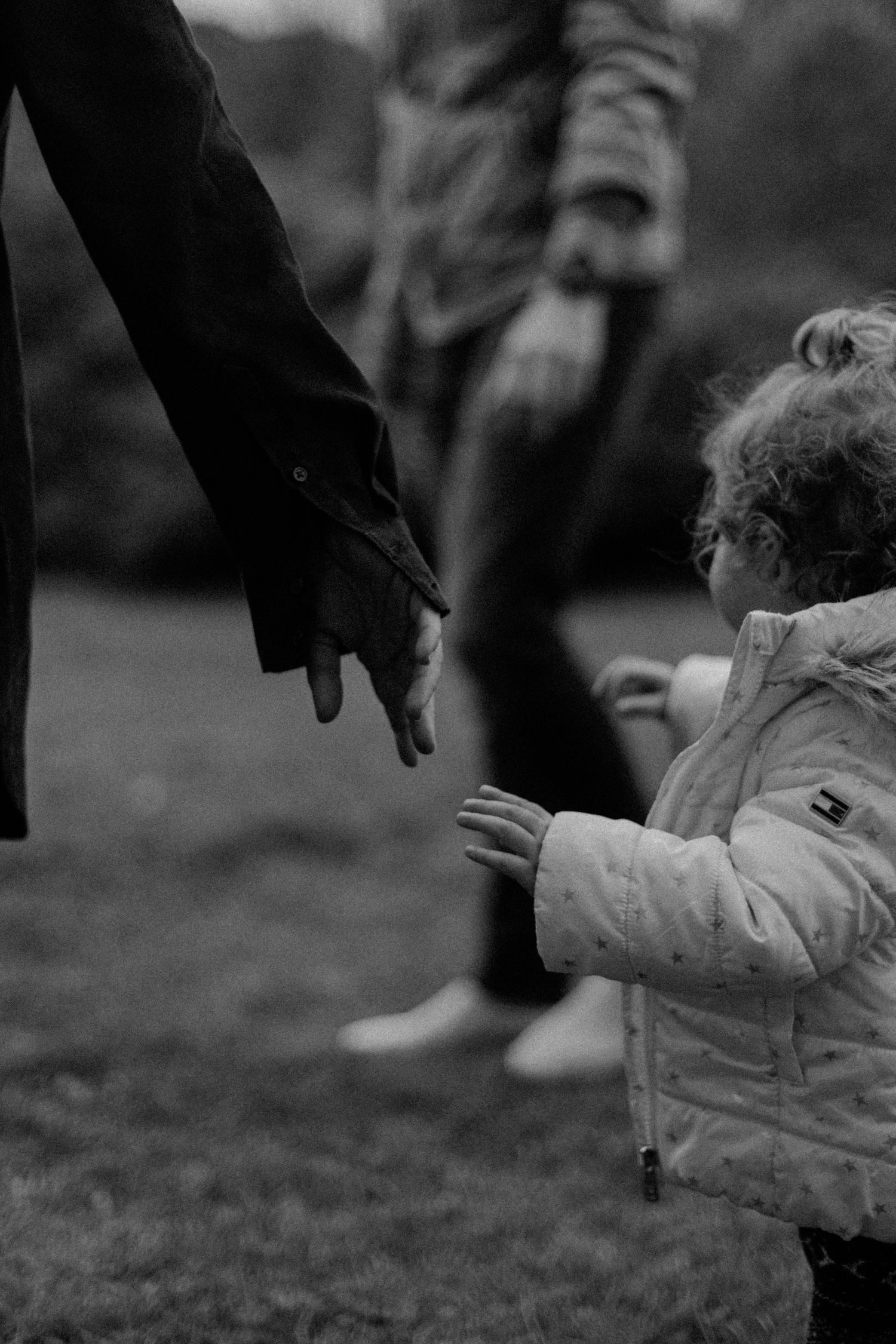 18 month old girl asking to hold hands with mom and dad at the park in Toronto