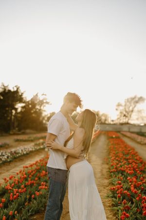 A romantic couple embraces at sunset in a field of blooming red and white tulips.
