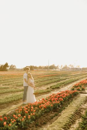 A romantic moment between two people standing among rows of orange tulips at golden hour in a flower field.