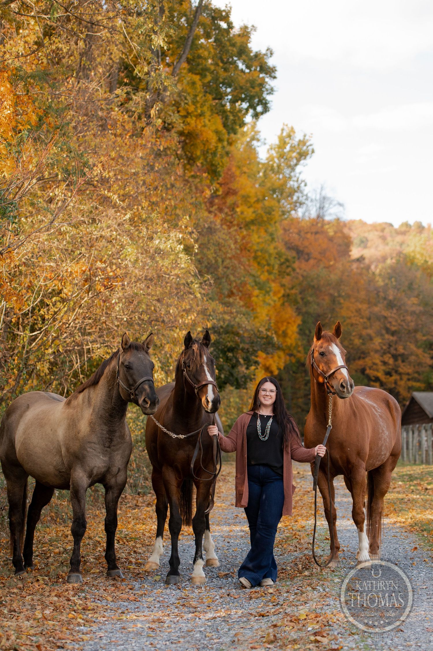 Three beautiful horses stand with their handler on a fall foliage-lined path.