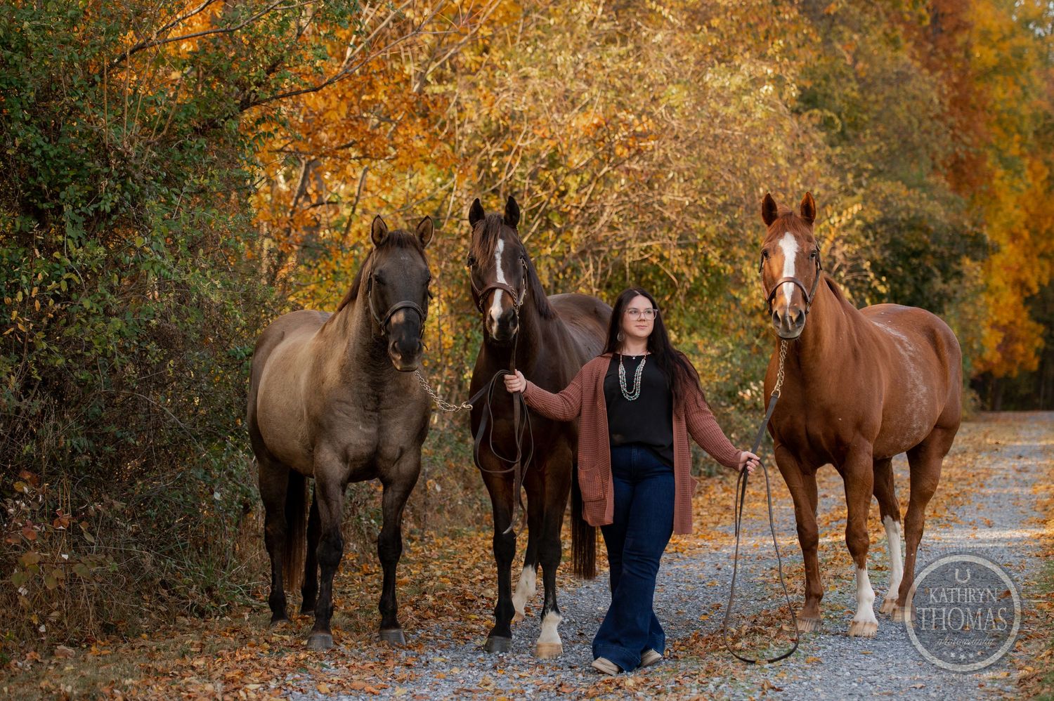 A group of three beautiful horses stands with their companion on an autumn path lined with colorful fall foliage.