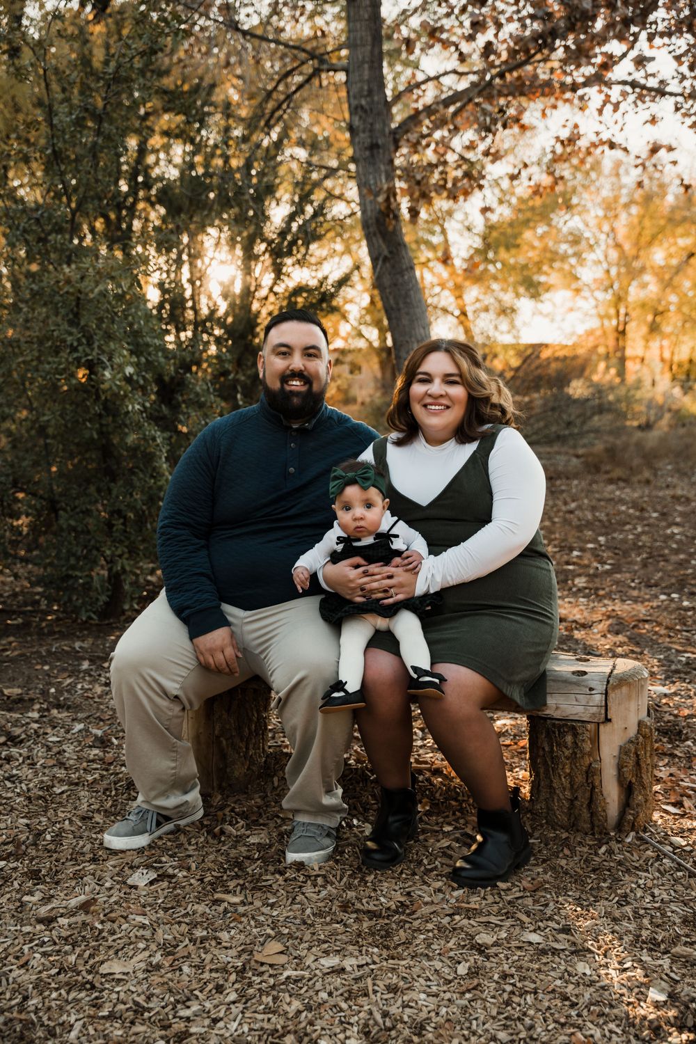 Natural family portraits captured on tree stumps in a golden-lit forest setting.