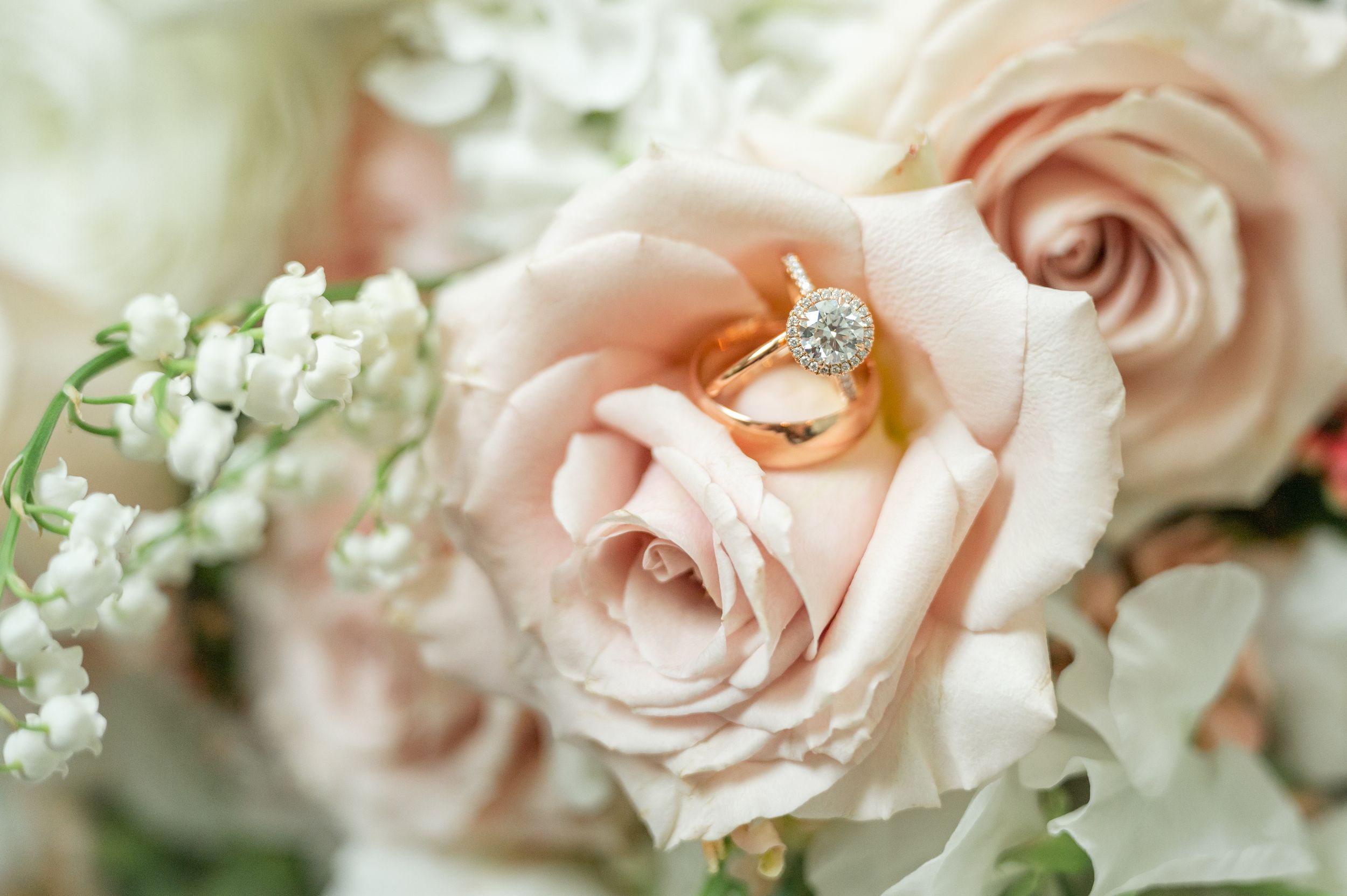 Rose gold wedding rings in rose.