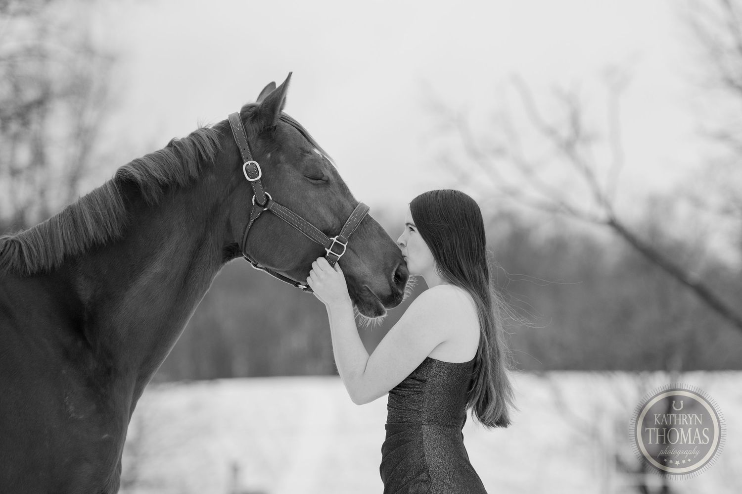 Black and white portrait showing an intimate moment between horse and admirer.