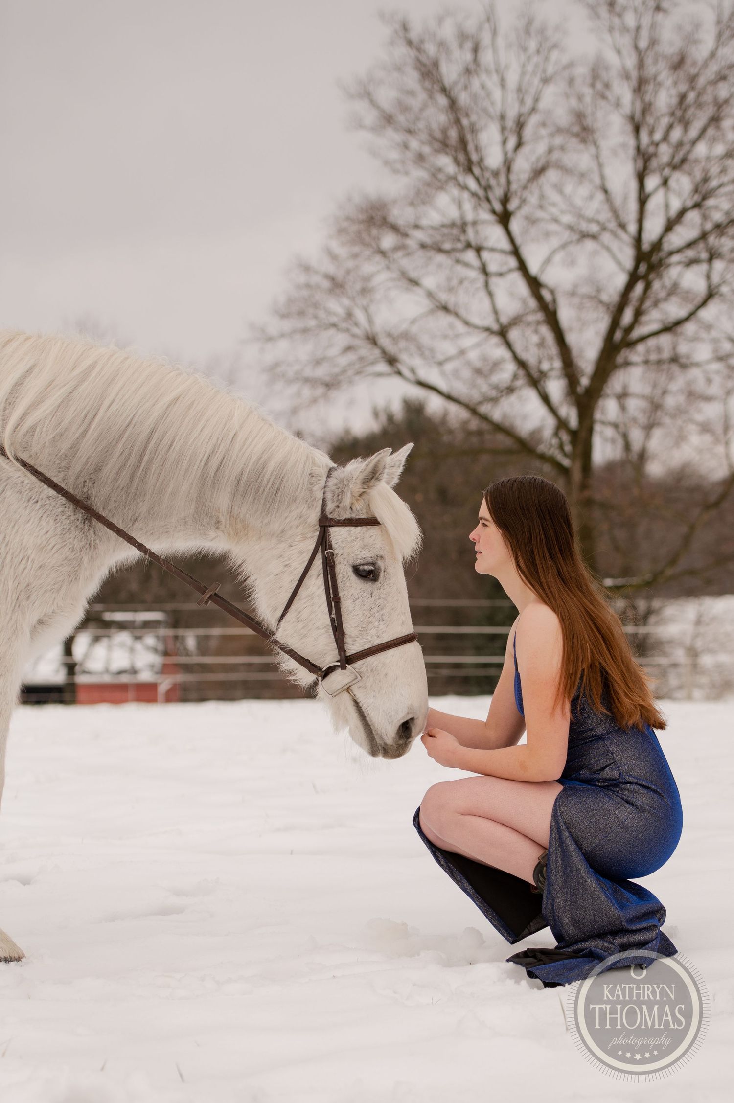 A close moment between a white horse and figure in blue dress against a snowy winter backdrop.