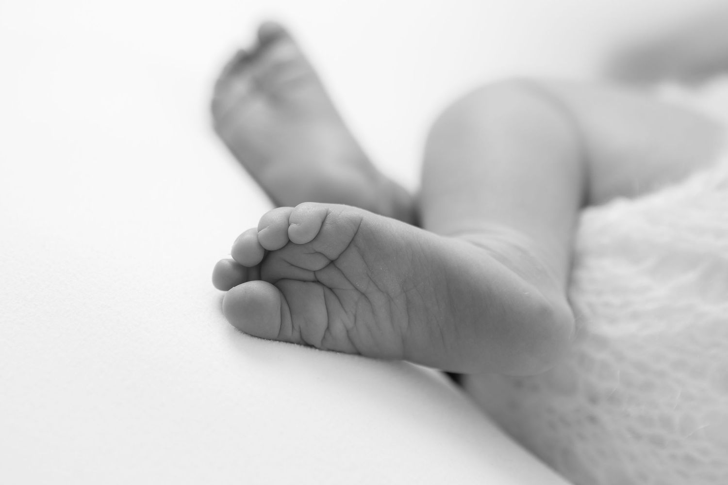 Close-up black and white photograph of tiny newborn feet against white background.