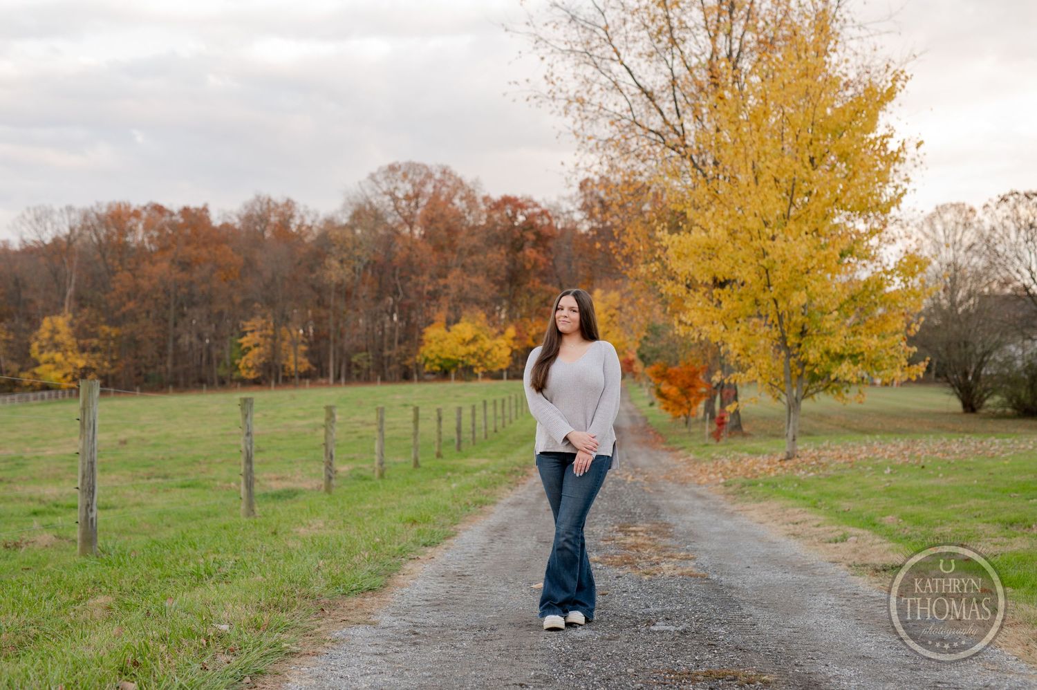 A scenic autumn portrait on a country road lined with yellow trees and wooden fences.