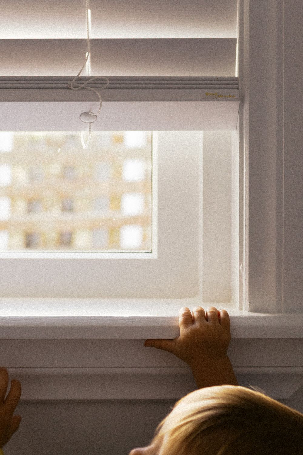 Cat's paws reaching up from below a sunny windowsill, creating playful shadows in soft morning light.
