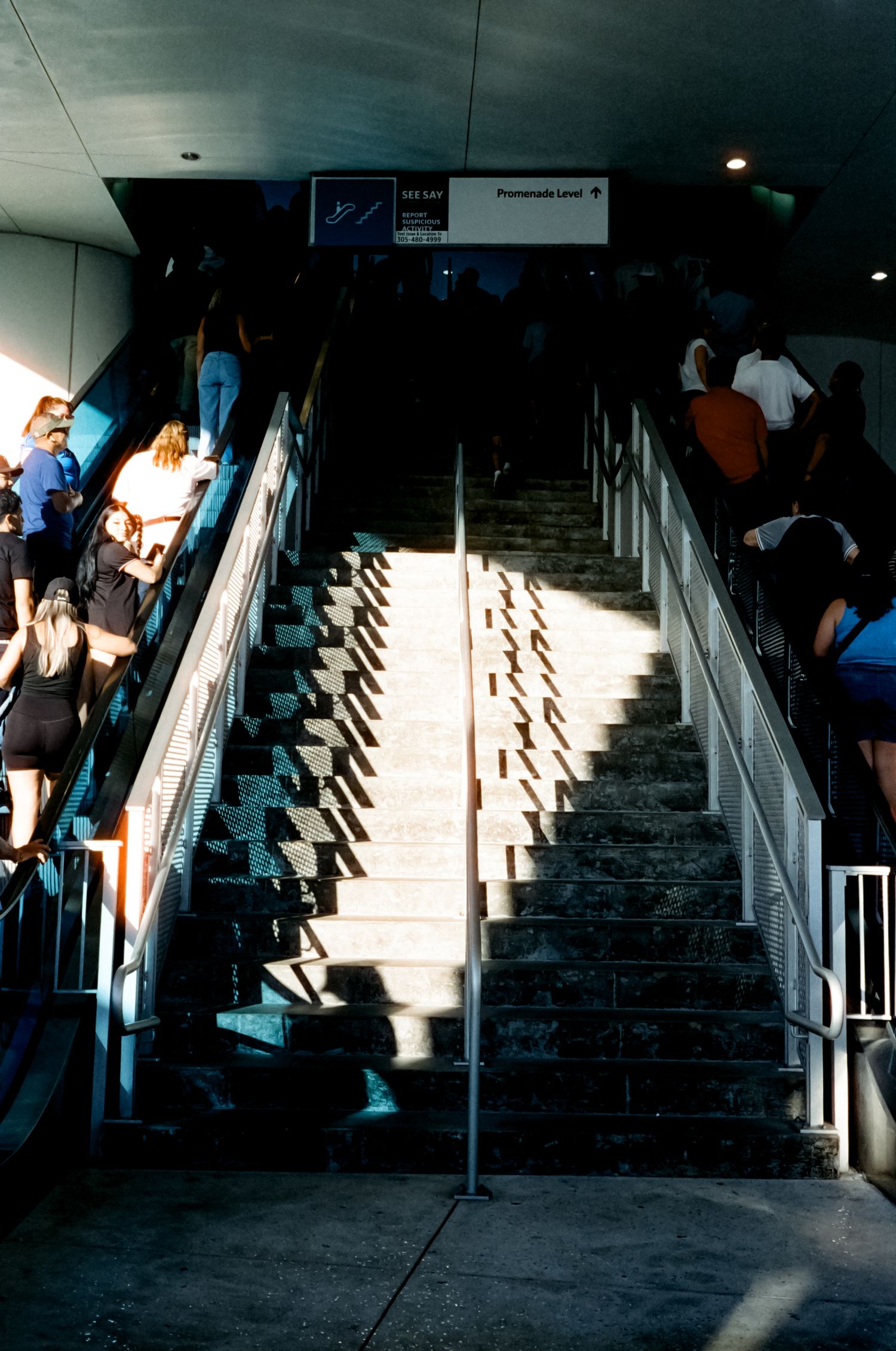 A series of moody photos in dark blue tones show a person or figure in shadow against a window or glass surface.