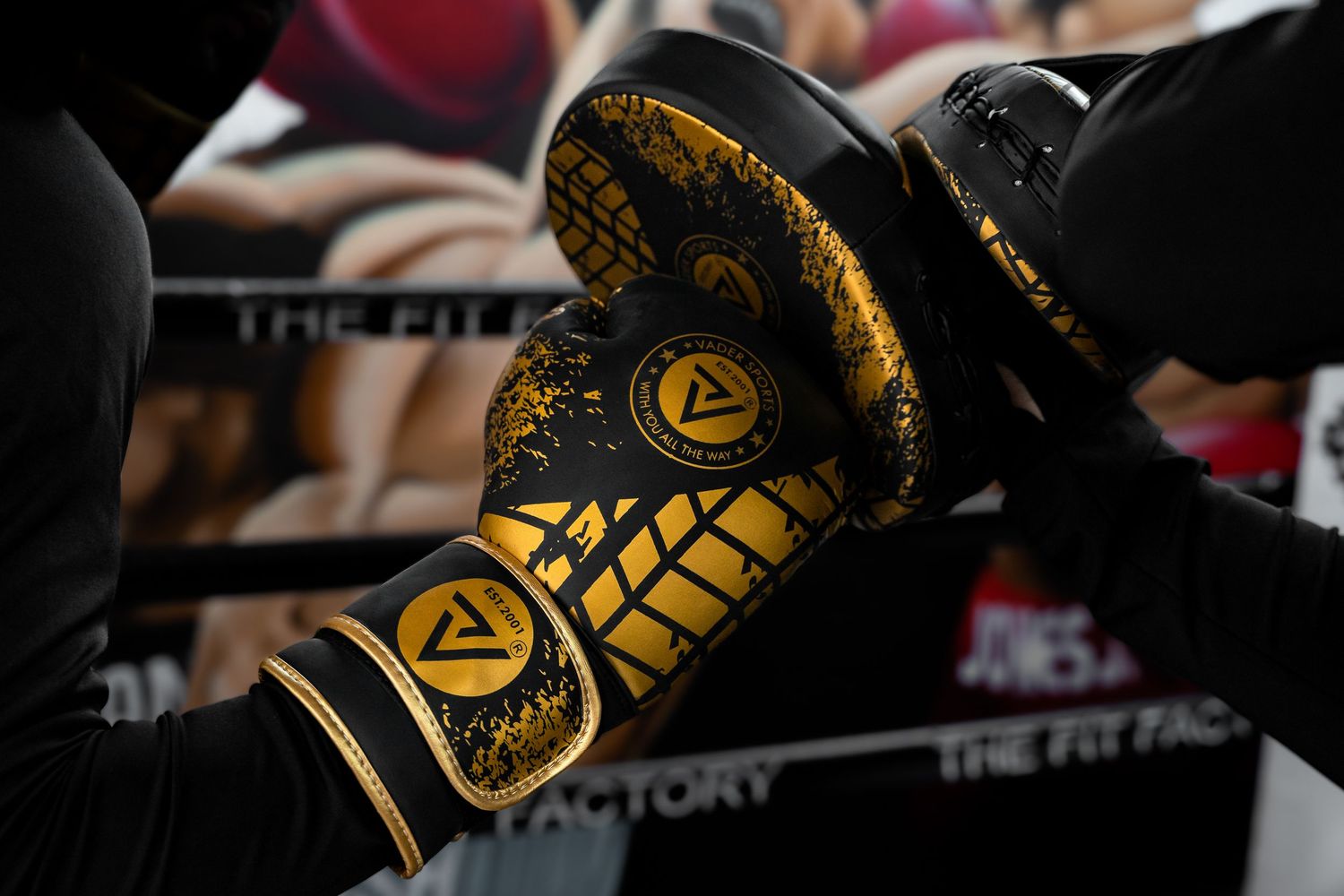 Black and gold boxing gloves with geometric pattern design.