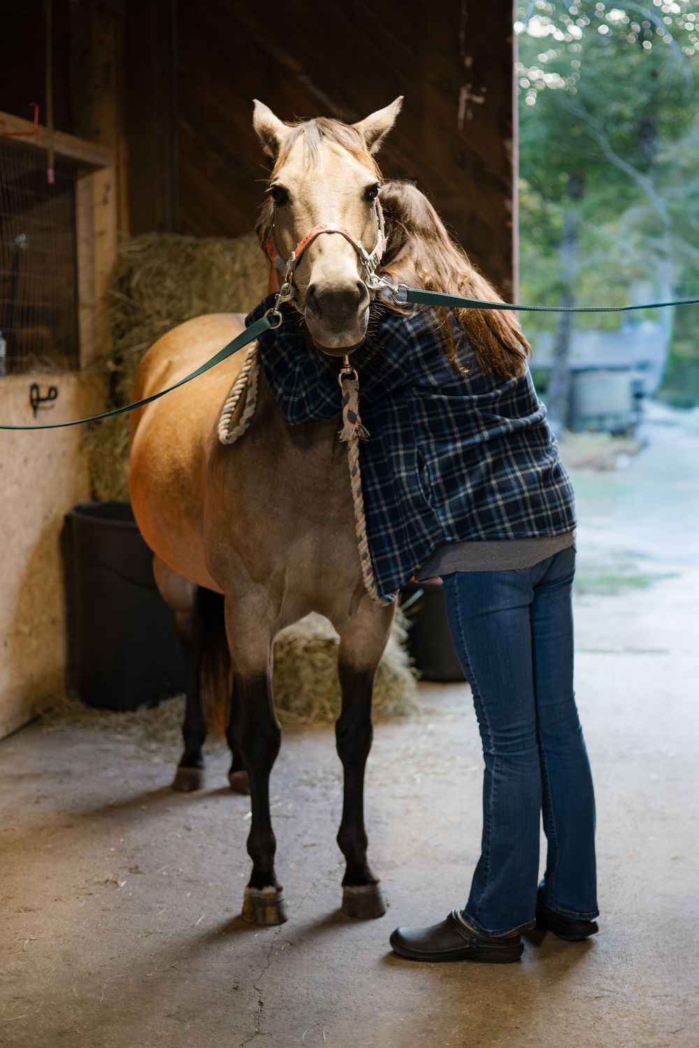 Person in jeans stands beside a brown horse in a stable aisle while holding its lead rope.