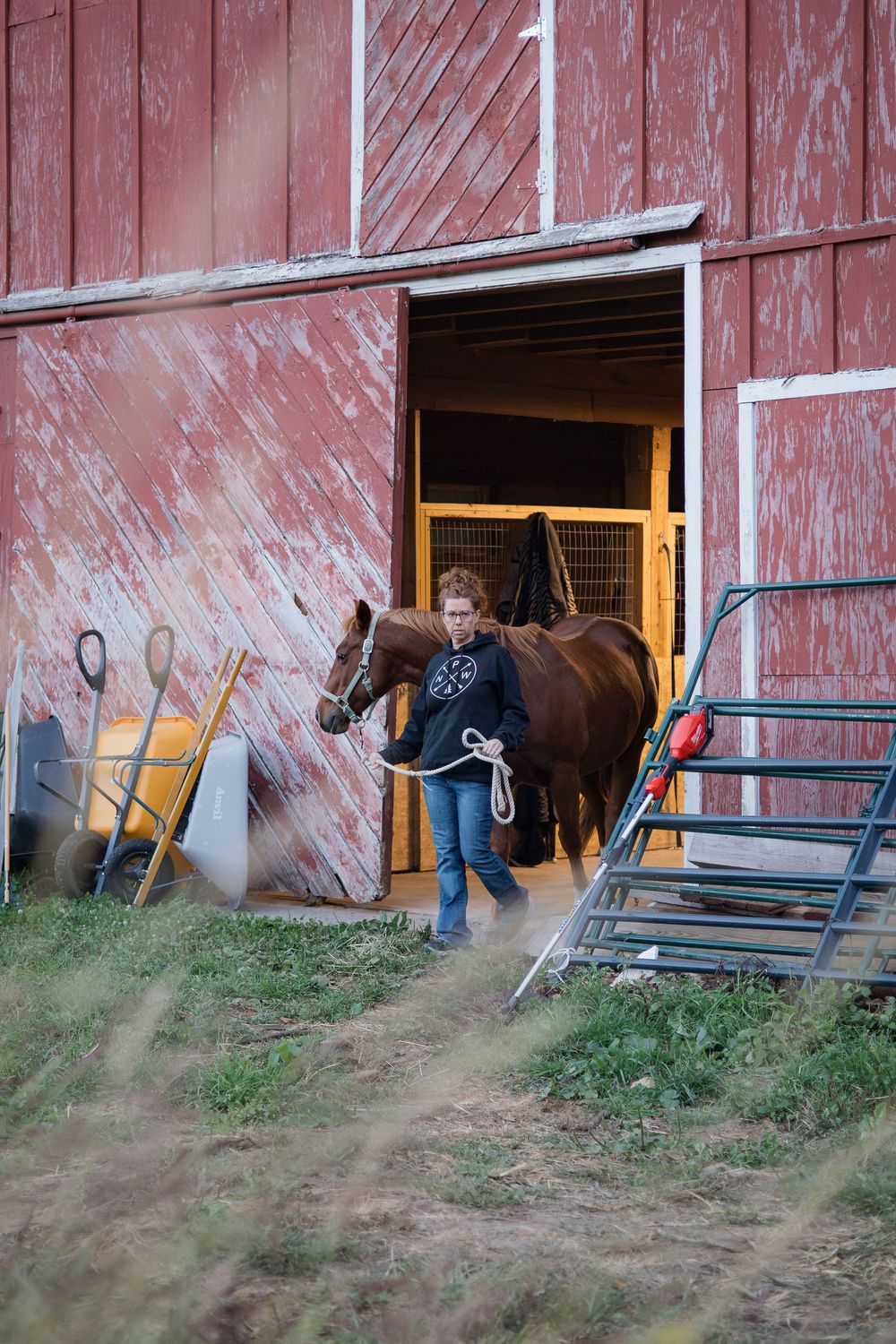 A horse peeks out from a rustic red barn door with weathered paint and a grassy foreground.