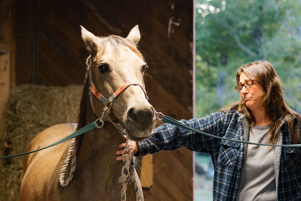 A woman in a plaid shirt pets a brown horse in a rustic barn setting while sharing a tender moment.
