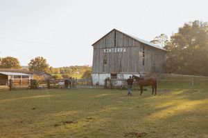 A weathered wooden barn labeled Kinterra stands in a pastoral setting with horses nearby.