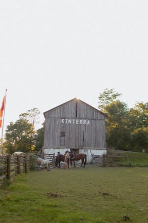 Horses stand by a wooden barn with 'KINTERRA' signage during sunset.