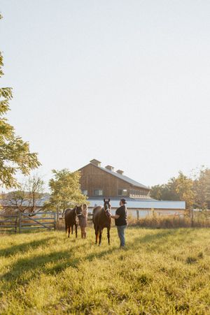 Horses and people gather in a sunlit field with a barn in the background.
