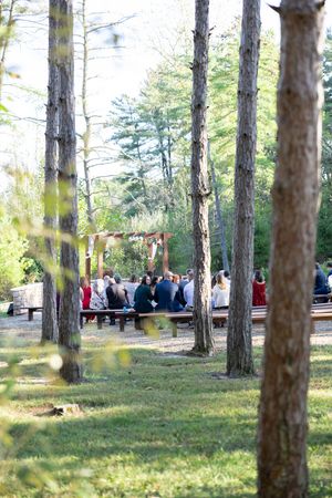 Wedding ceremony setup in pine forest with wooden benches and guests gathering.