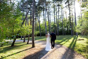 Sunlit forest path with tall pine trees casting long shadows on a gravel walkway.