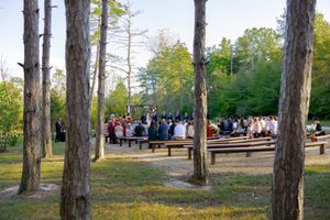Wide view of outdoor wedding ceremony through pine forest.